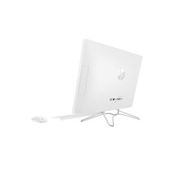 HP Athlon All-in-One 22-DD0016 4GB/1TB