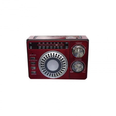 RADIO ECOPOWER EP-F29BT